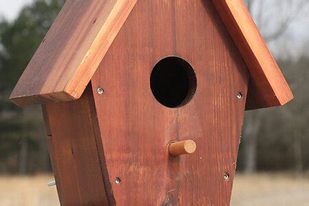 bird house metal perches|bird house perch height.